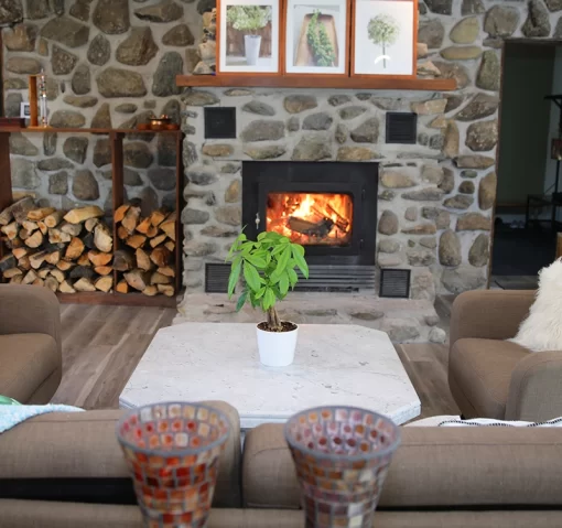 a propos de la villa de brome